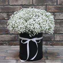 Цветочная композиция из Гипсофила в шляпной коробке #REPLACE_PRED# Тёсово-Нетыльском